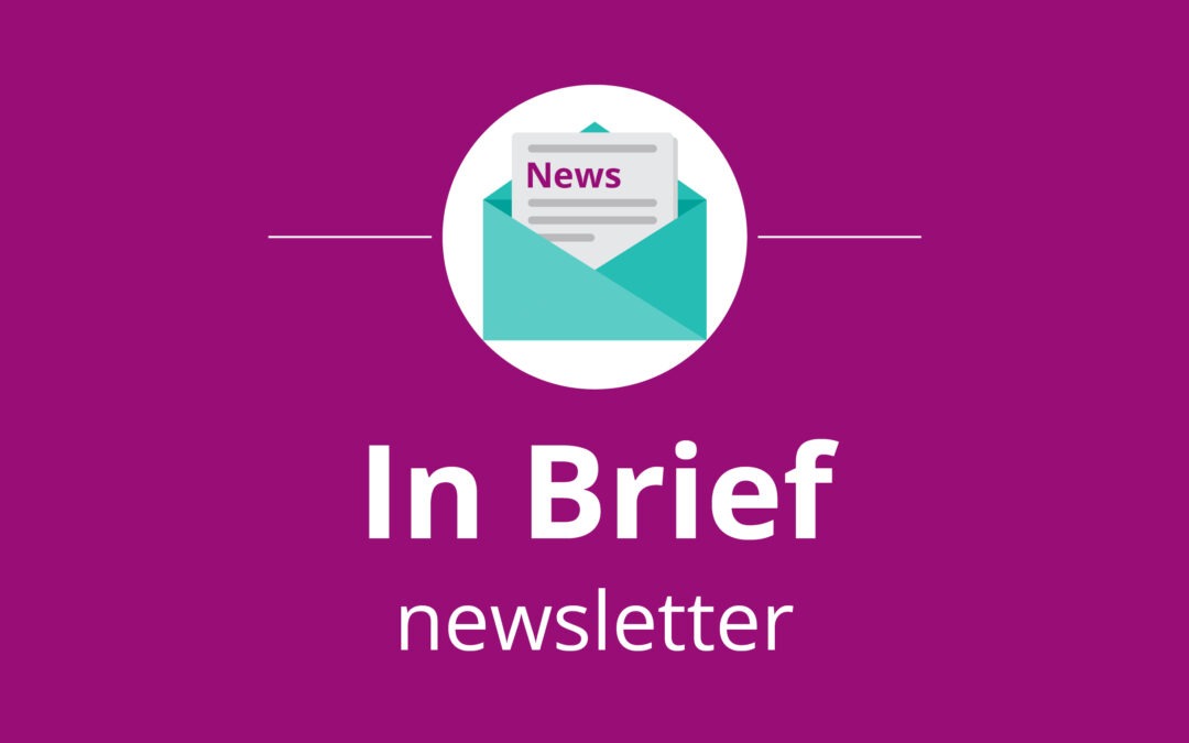 Term four N4L IN BRIEF blog