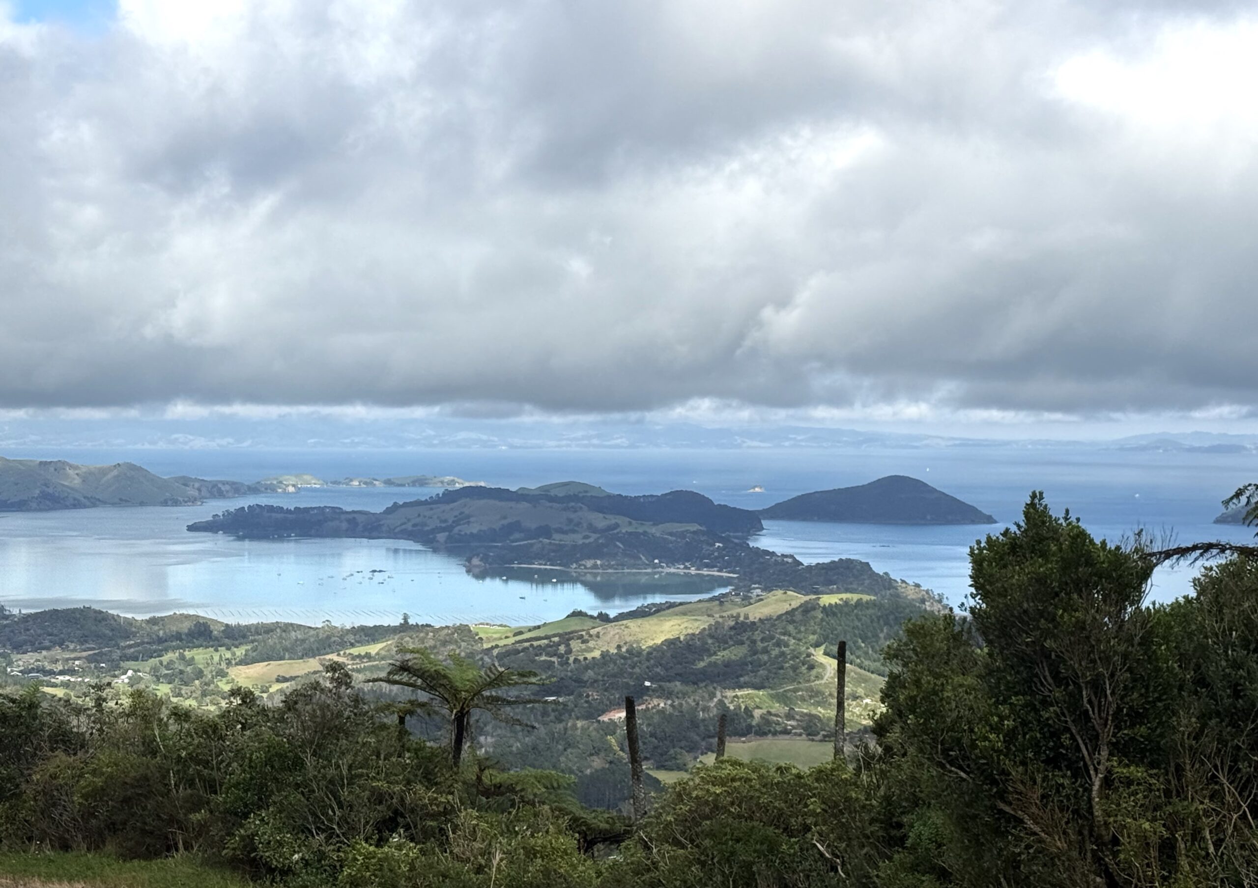 Matariki Hauraki photo